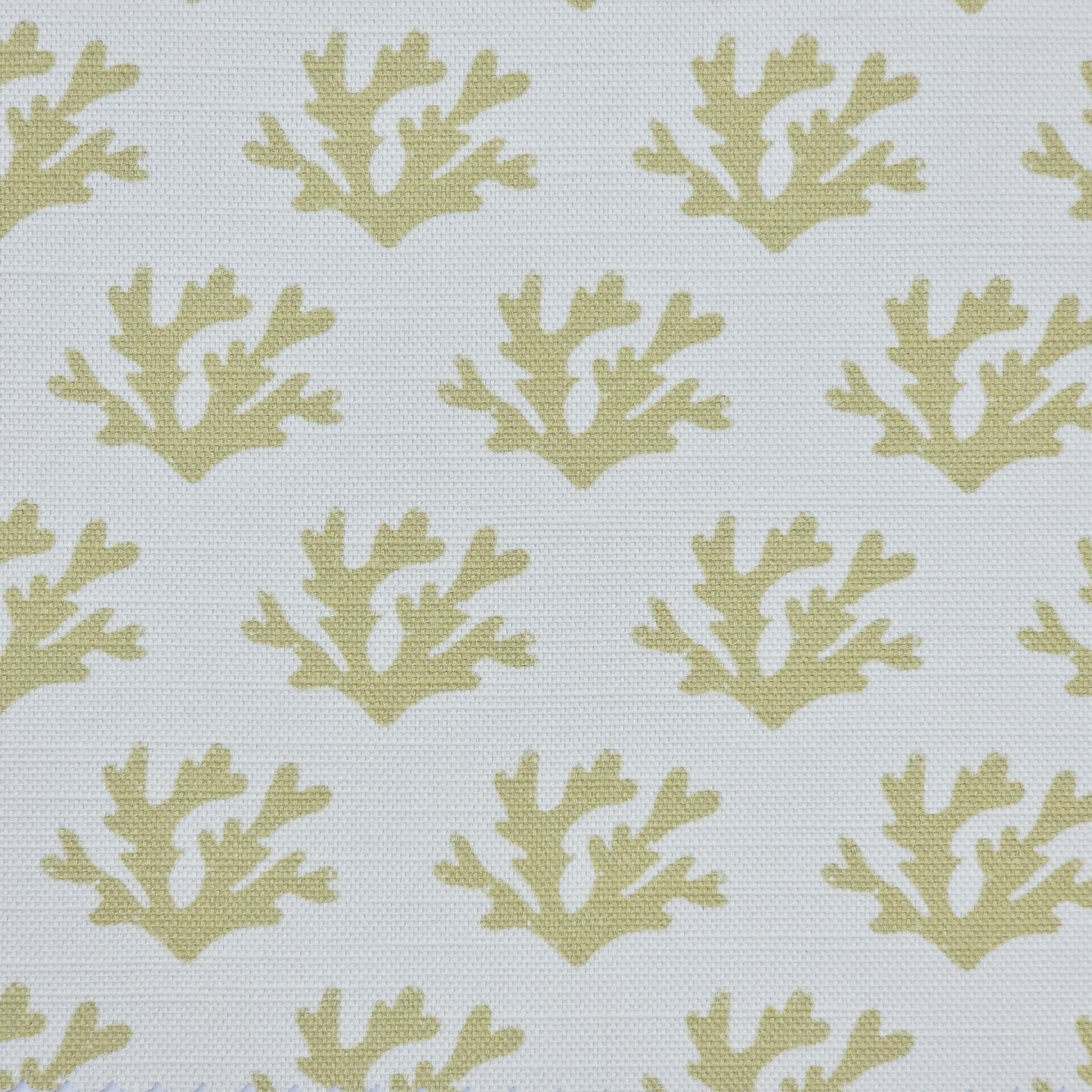Green Seaweed cotton linen fabric featuring sand coloured hand carved lino print seaweed motifs in a repeating coastal pattern on a soft white background. ZIA LIVING.