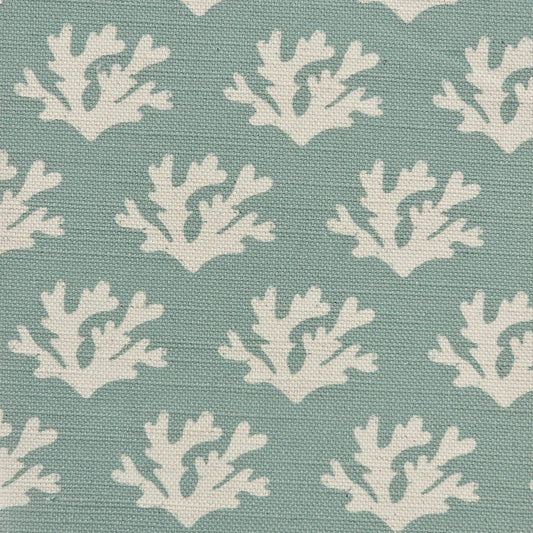 Seaweed