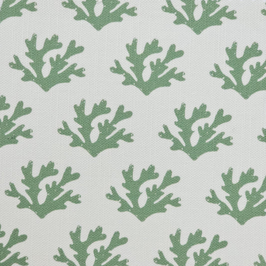 Seaweed Classic