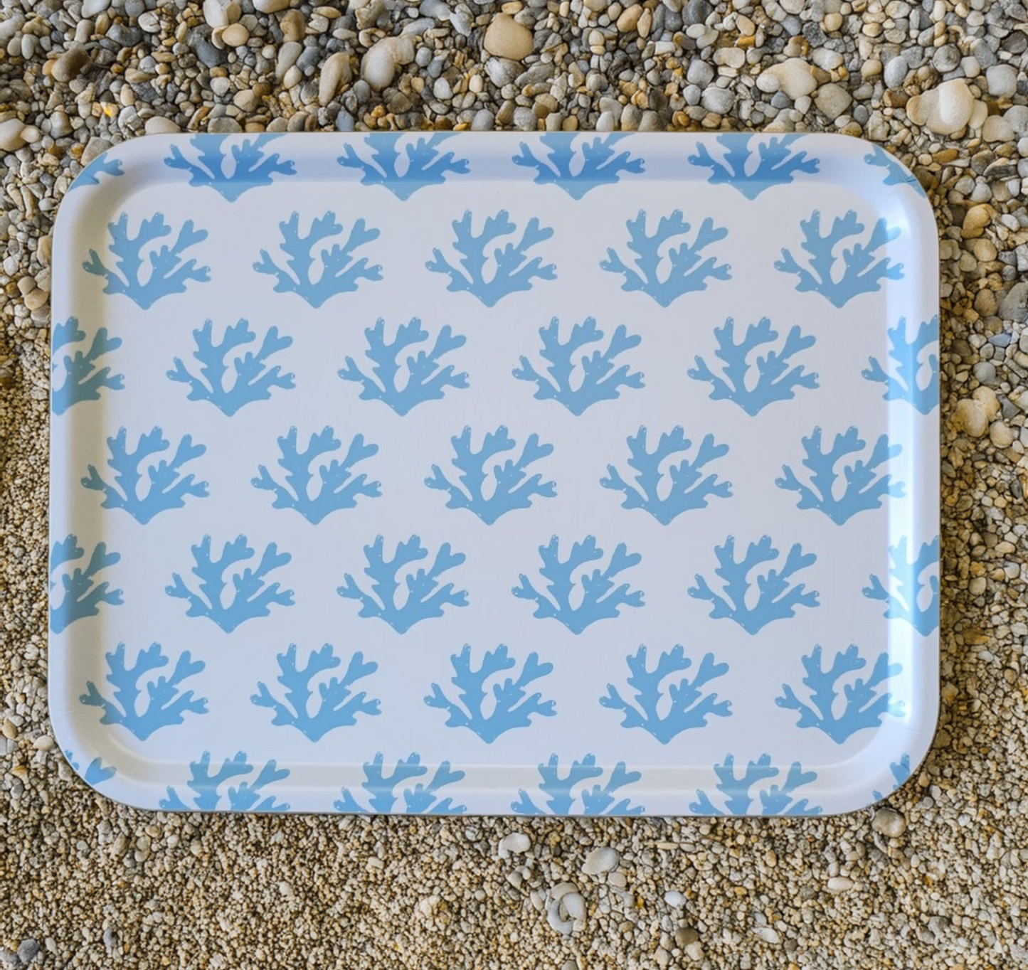 Sky Blue Seaweed Tray